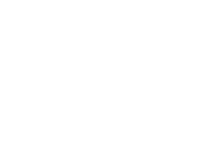 #TEAMBorderCollie