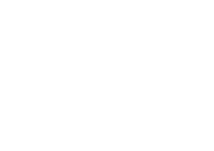 #TEAMFranciaBulldog