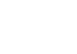 Moneyfesting